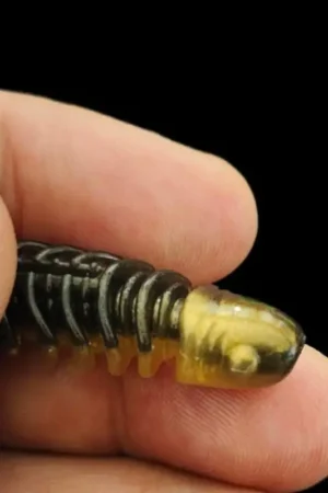 T Tail Soft Baits Paddle Tail Swimbaits Sinking Fishing Lures Artificial Wobbler Soft Lures Worm Baits Enduring
